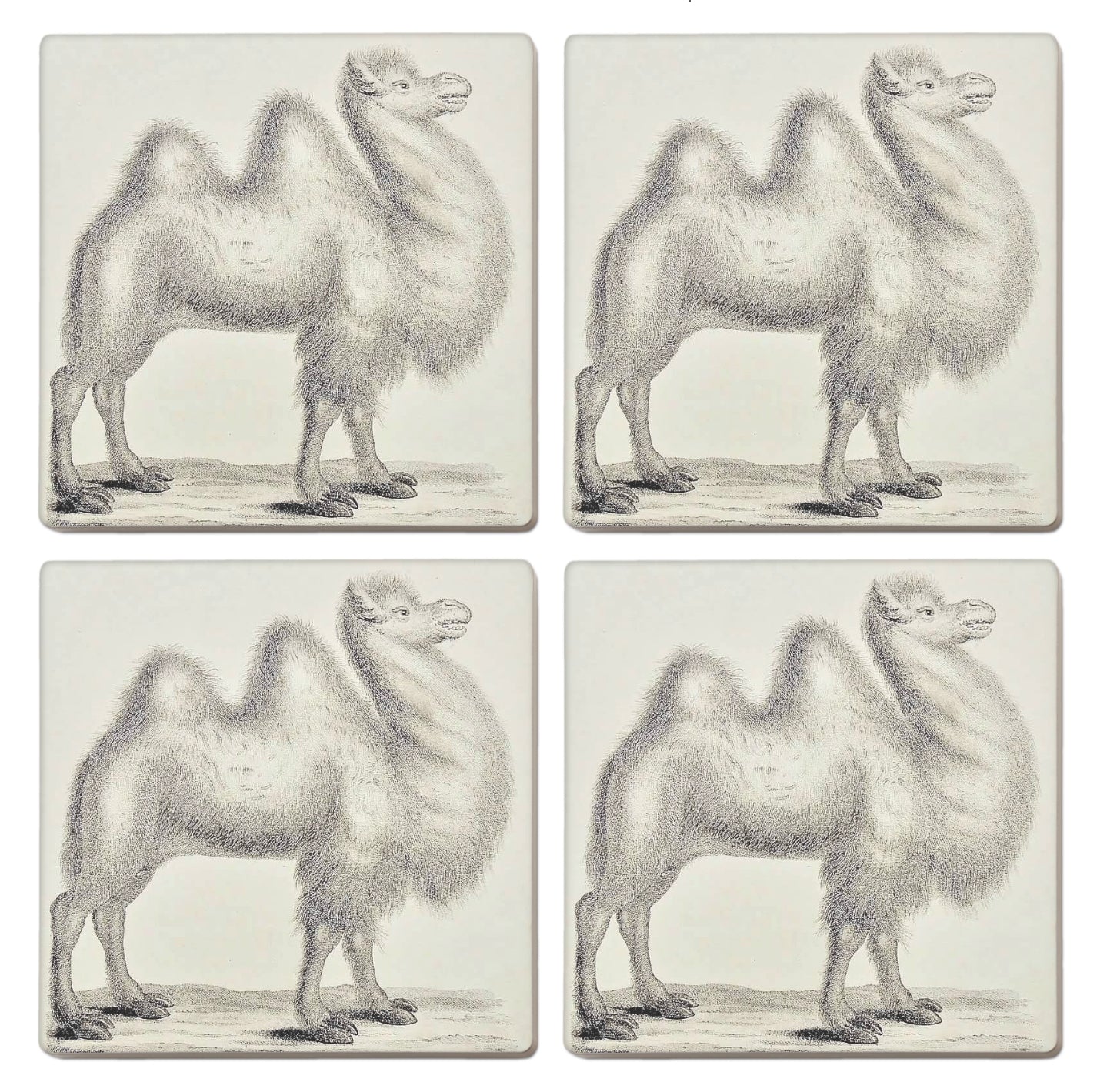 Ceramic Camel Coasters (set of 4)