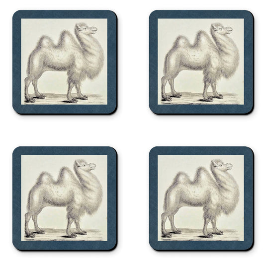 Camel Coasters (set of 4)