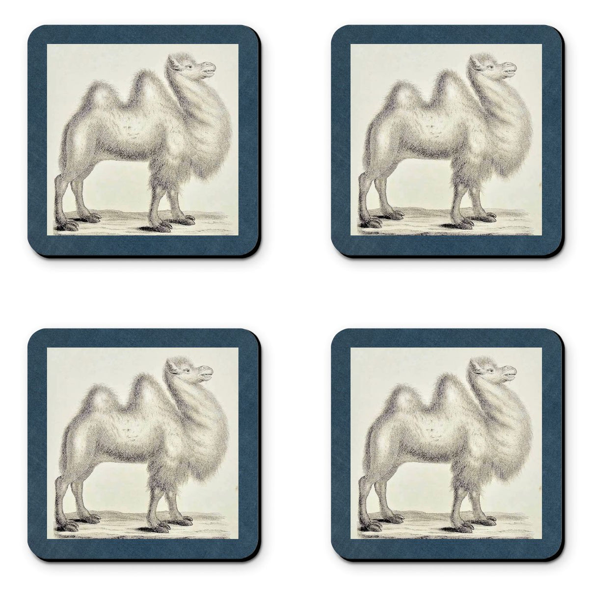 Camel Coasters (set of 4)