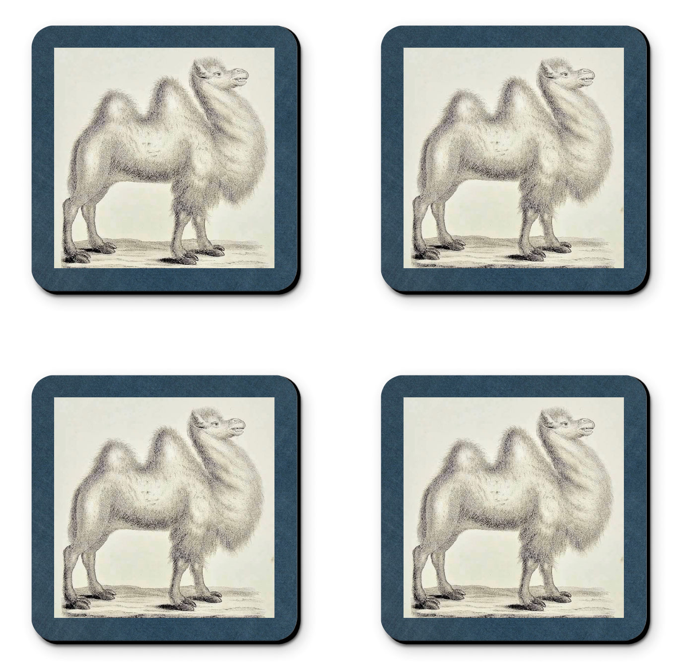 Camel Coasters (set of 4)