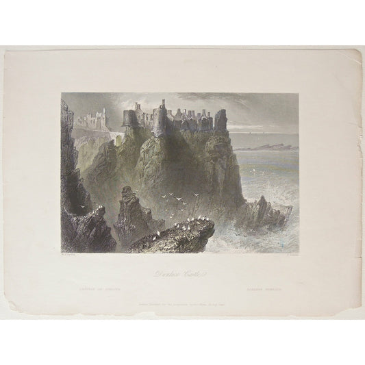 Dunluce, Castle, Chateau, Schloss, Ireland, Irish, Birds, by the water, cliffs, steep cliffs, gulls, sea, rough waters, view, scenery, views, Castles,