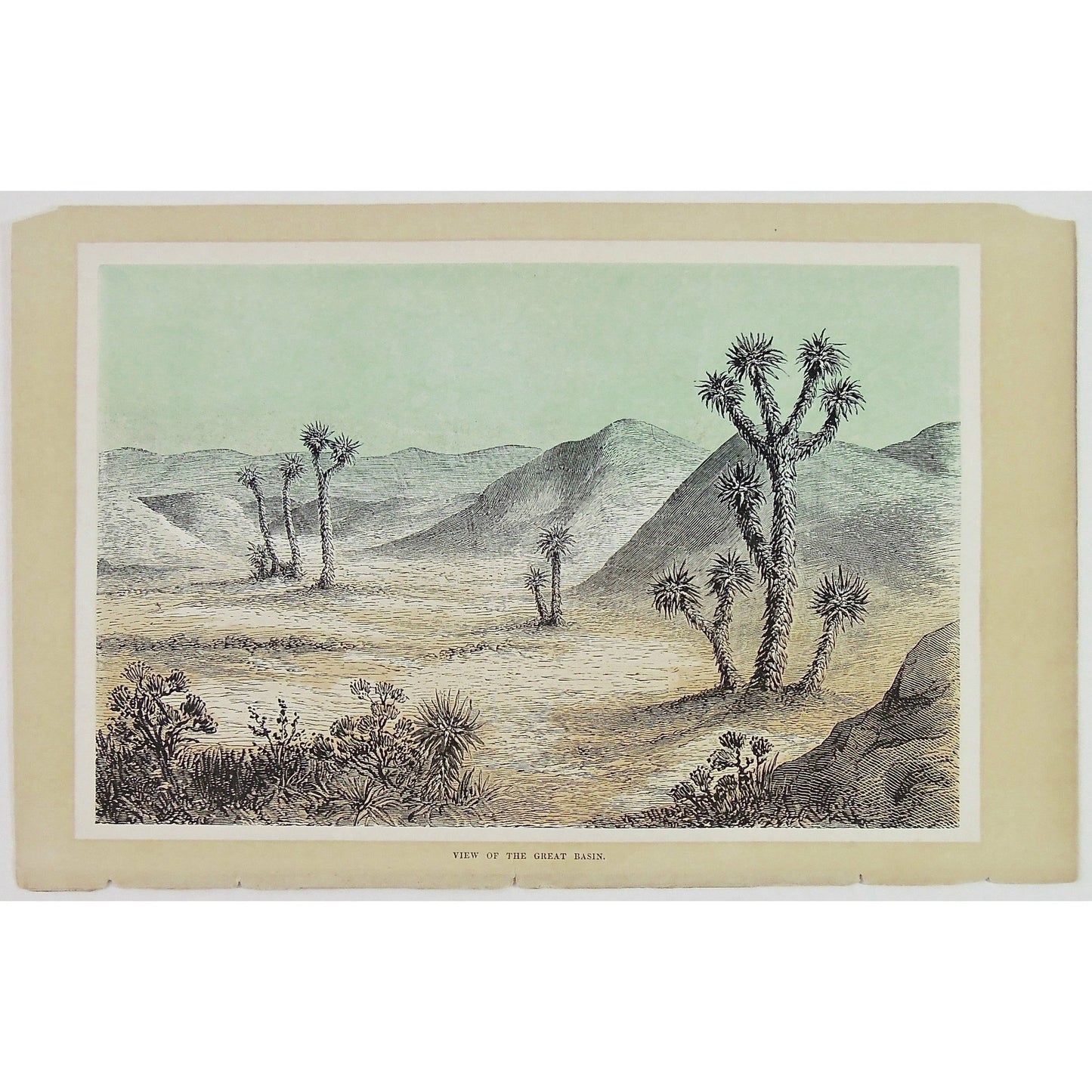 View of the Great Basin. (B4-132)