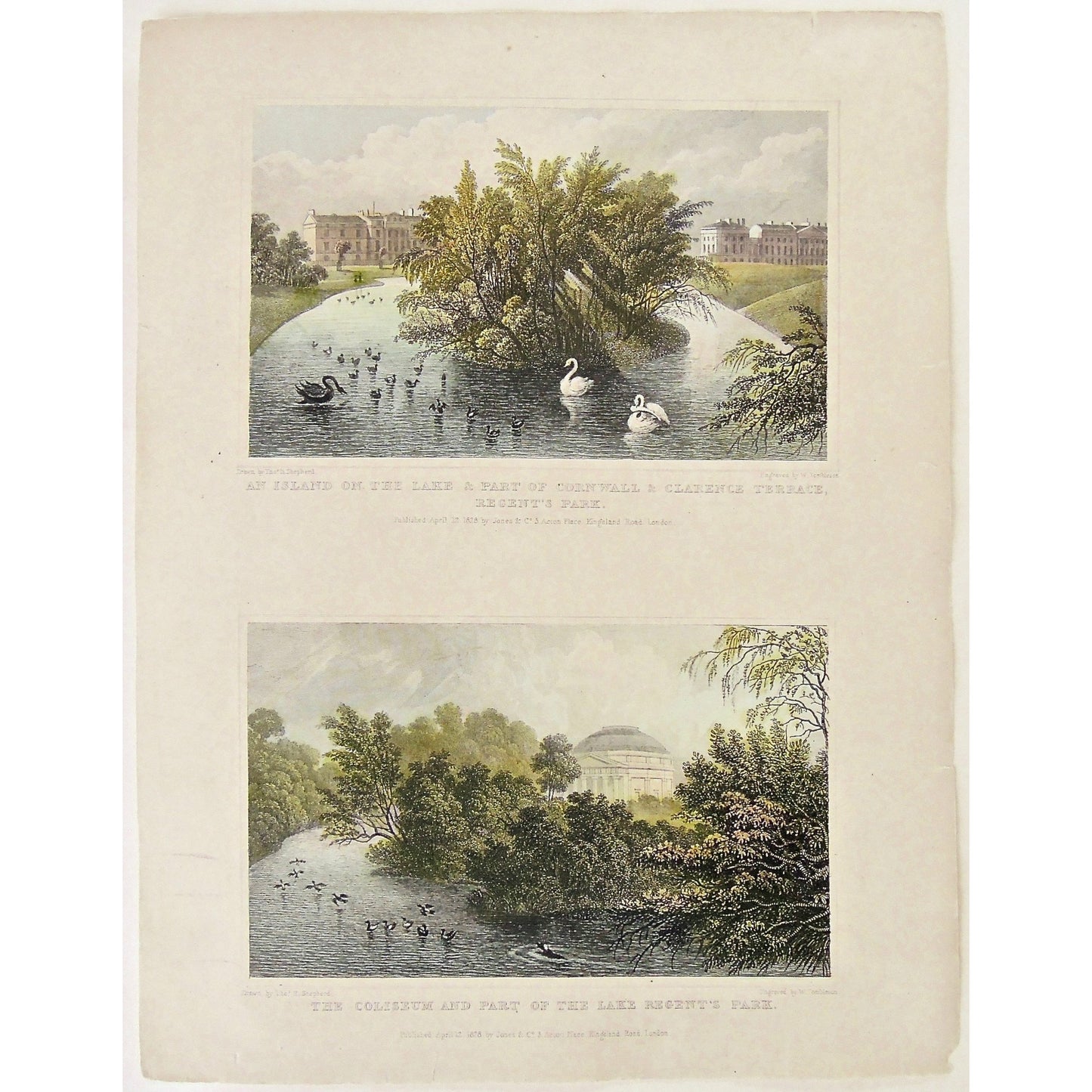 An Island of the Lake & Part of Cornwall & Clarence Terrace, Regent's Park. / The Coliseum and Part of the Lake Regent's Park.  (S2-32)
