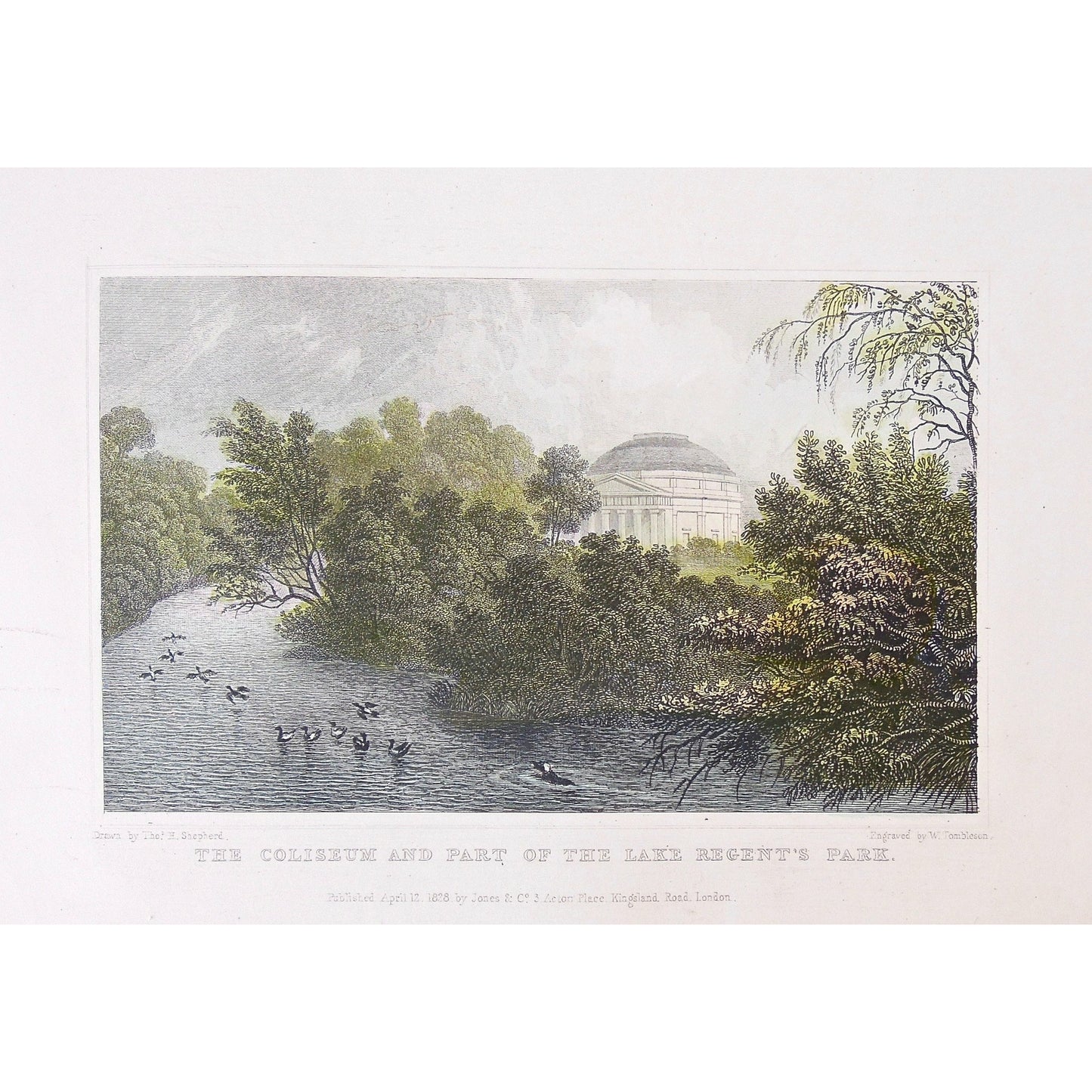 An Island of the Lake & Part of Cornwall & Clarence Terrace, Regent's Park. / The Coliseum and Part of the Lake Regent's Park.  (S2-32)
