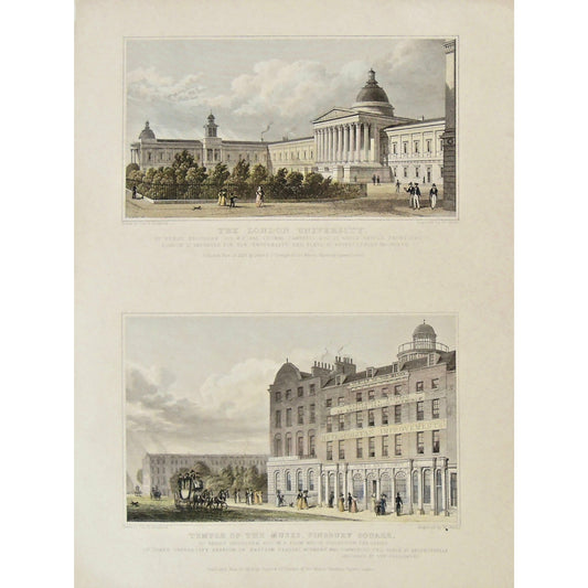 The London University. / Temple of the Muses, Finsbury Square.  (S2-36)