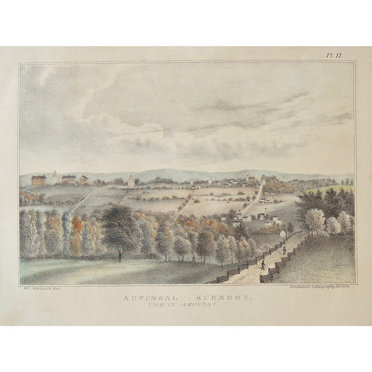 Autumnal Scenery, View in Amherst.  (B4-105d)
