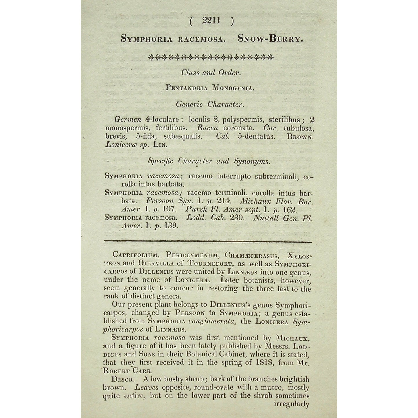 Plate 2211 (Symphoria Racemosa. Snow-Berry.) (with Description Page)  (B6-494)