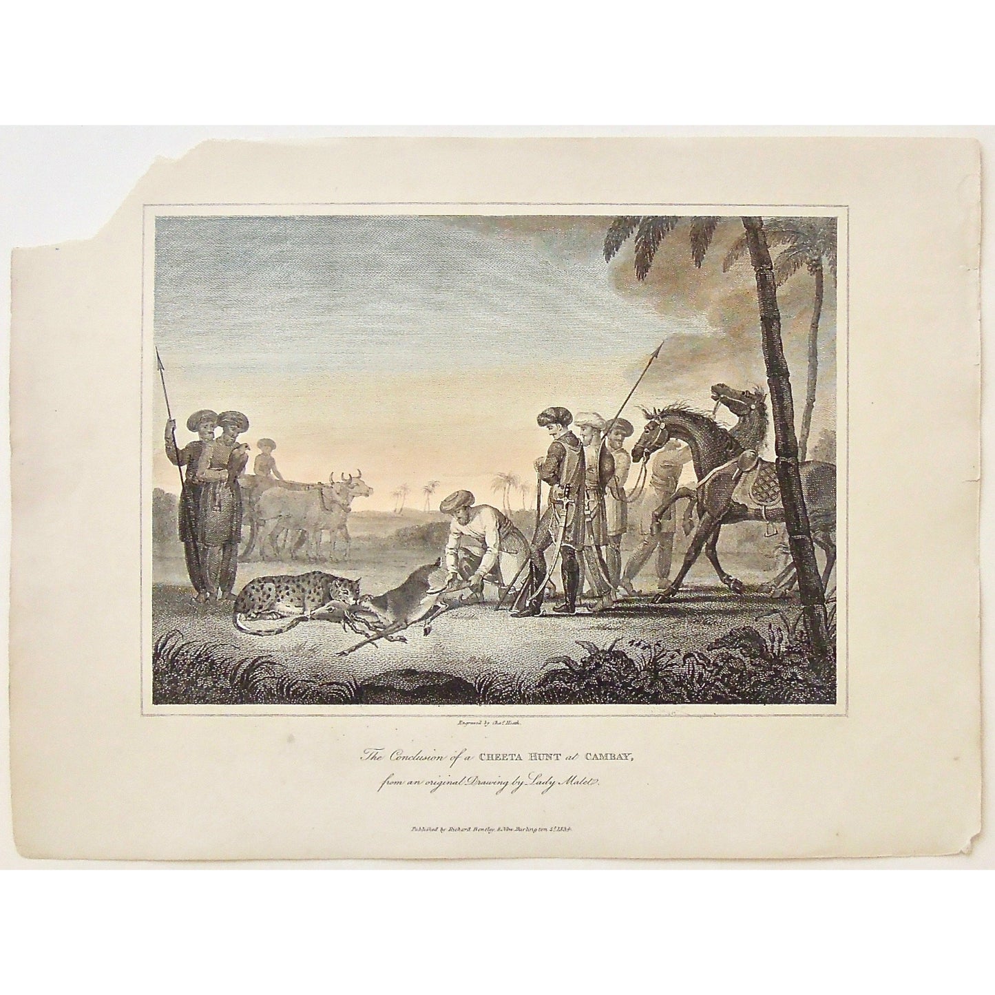 Conclusion of a Cheeta Hunt, Cheeta Hunt, Hunting, Cheeta, Cheetas, Cambay, Hunters, Indian, India, Spears, Spearing, Dear, Ox, Bulls, Horse, Swords, Headgear, Head dress, Falcon, Lady Malet, James Forbes, Forbes, Eliza Rosée, Countess De Montalembert, Oriental Memoirs, Narrative of Seventeen Years Residence in India, Bentley, 8 New Burlington Street, London, Heath, Nichols & Son, 25 Parliament Street, 1834, Steel engraving, Antique Print, Antique, Prints, Vintage Prints, Vintage, Collector, Collectable, 
