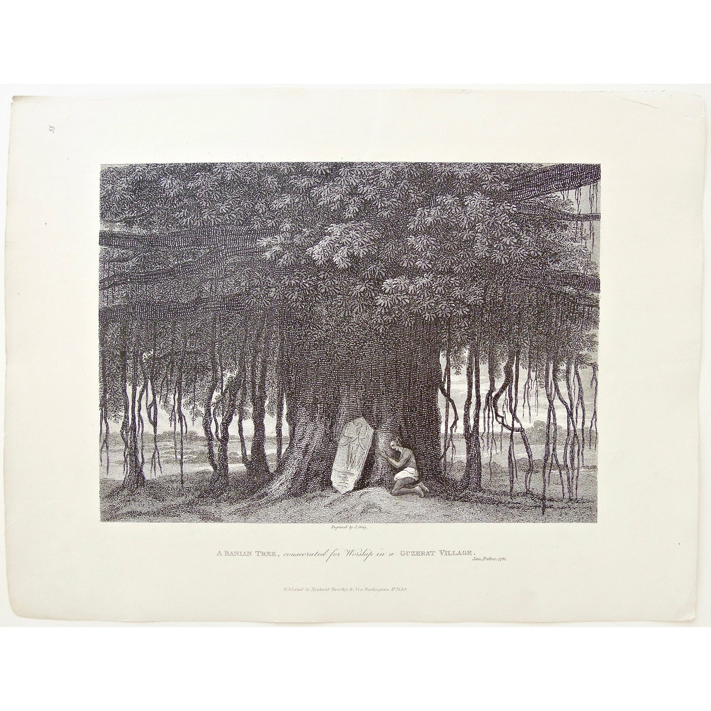 Banian, Banian Tree, Banyan Tree, Trees, Consecrated, Worship, Worshiping, Guzerat, Gujarat, under a tree, sculpture, worshipper, India, Indian, Man, James Forbes, Forbes, Eliza Rosée, Countess De Montalembert, Oriental Memoirs, Narrative of Seventeen Years Residence in India, Bentley, 8 New Burlington Street, London, Greig, Nichols & Son, 25 Parliament Street, 1781, 1834, Steel engraving, Antique Print, Antique, Prints, Vintage Prints, Vintage, Collector, Collectable, Original, Unique, Rare Map, Rare, Rar