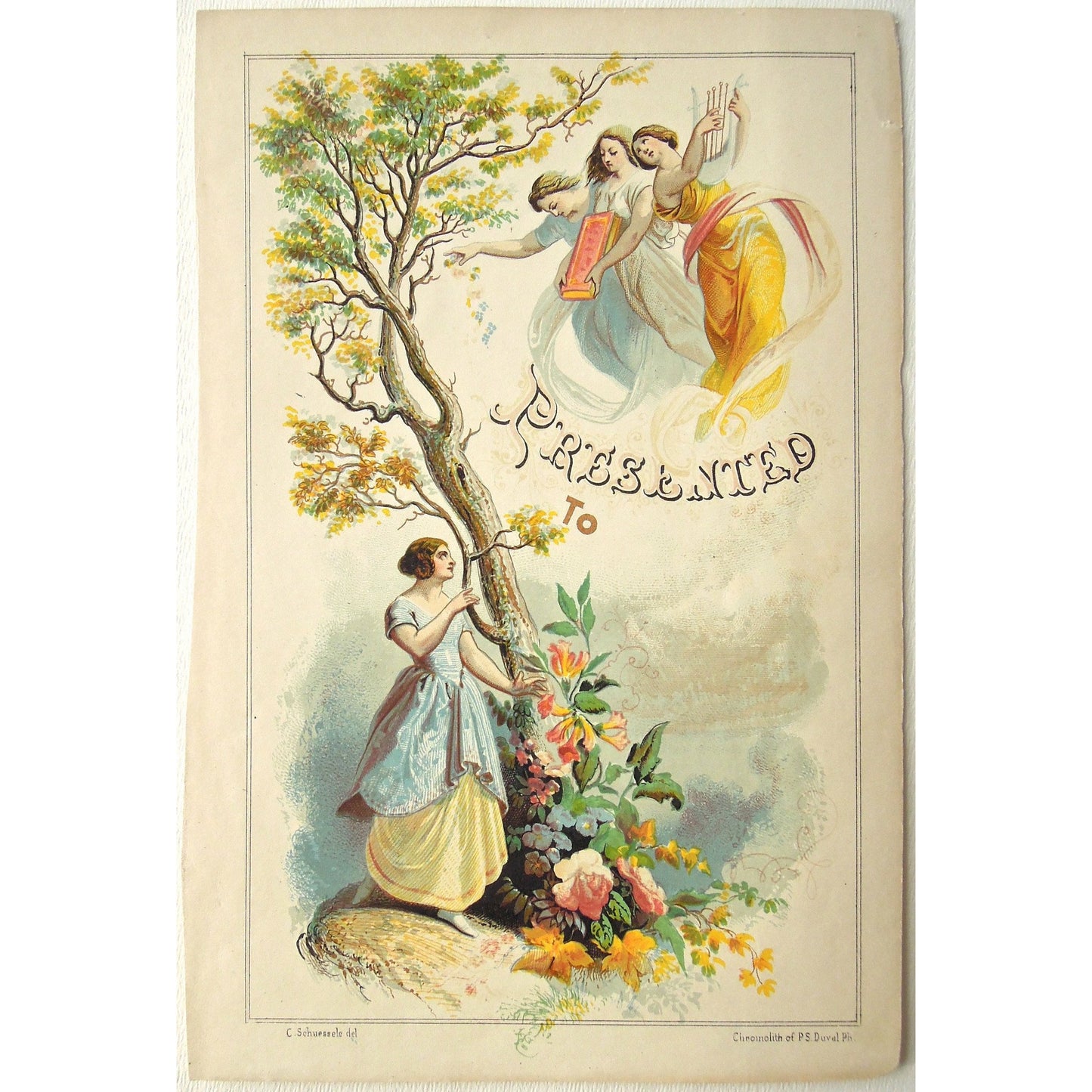 Presented To (Dedication Page) (B4-255)