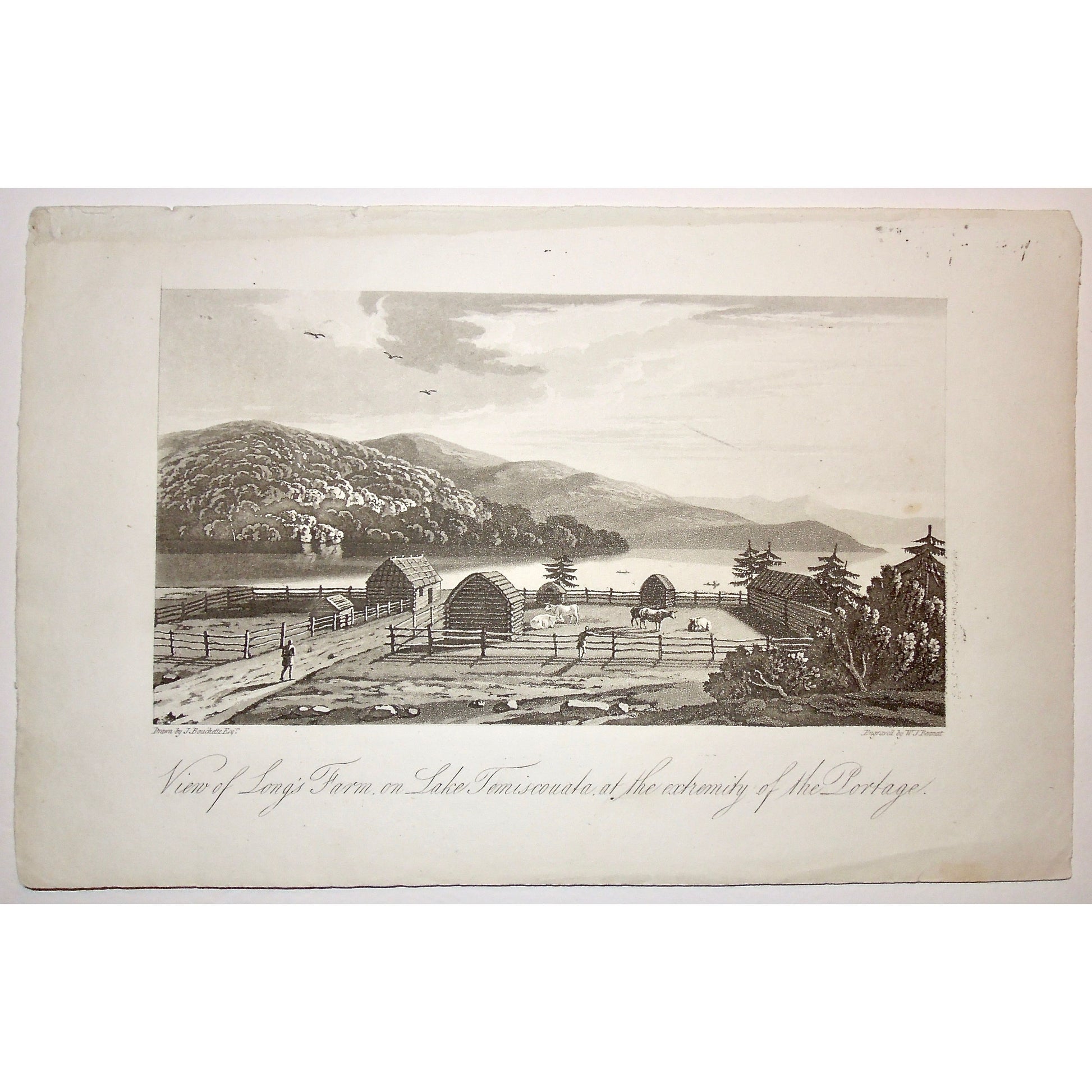View of Long's Farm, View, Long's Farm, Farm, Lake, Temiscouata, Lac Temiscouata, Extremity, Portage, Cattle, Cows, Farming, Farmer, pen, cow pen, fencing, riverfront, A Topographical Description of the Province of Lower Canada, Lower Canada, Joseph Bouchette, Bouchette, 1815, W. Faden, Faden, W. J. Bennett, Bennett, Charing Cross, London, steel engraving, black and white, Antique, Prints, Decor, For Sale, Original, Vintage, Collector, Engraving, Steel Engraving, Art, 