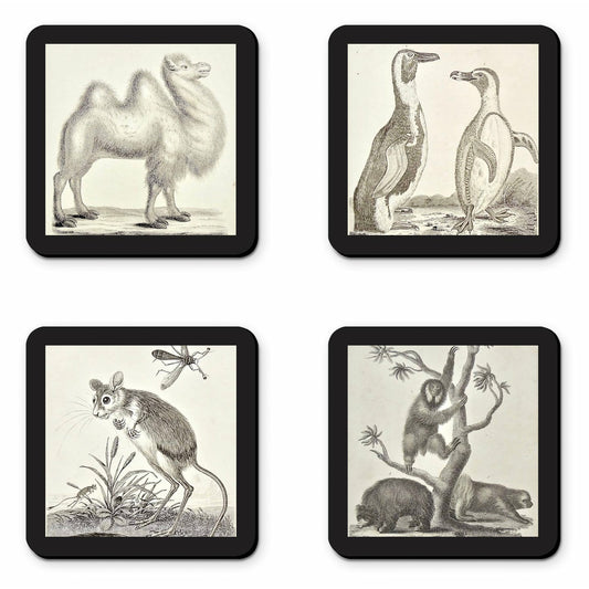 Wild Animal Coasters (set of 4)
