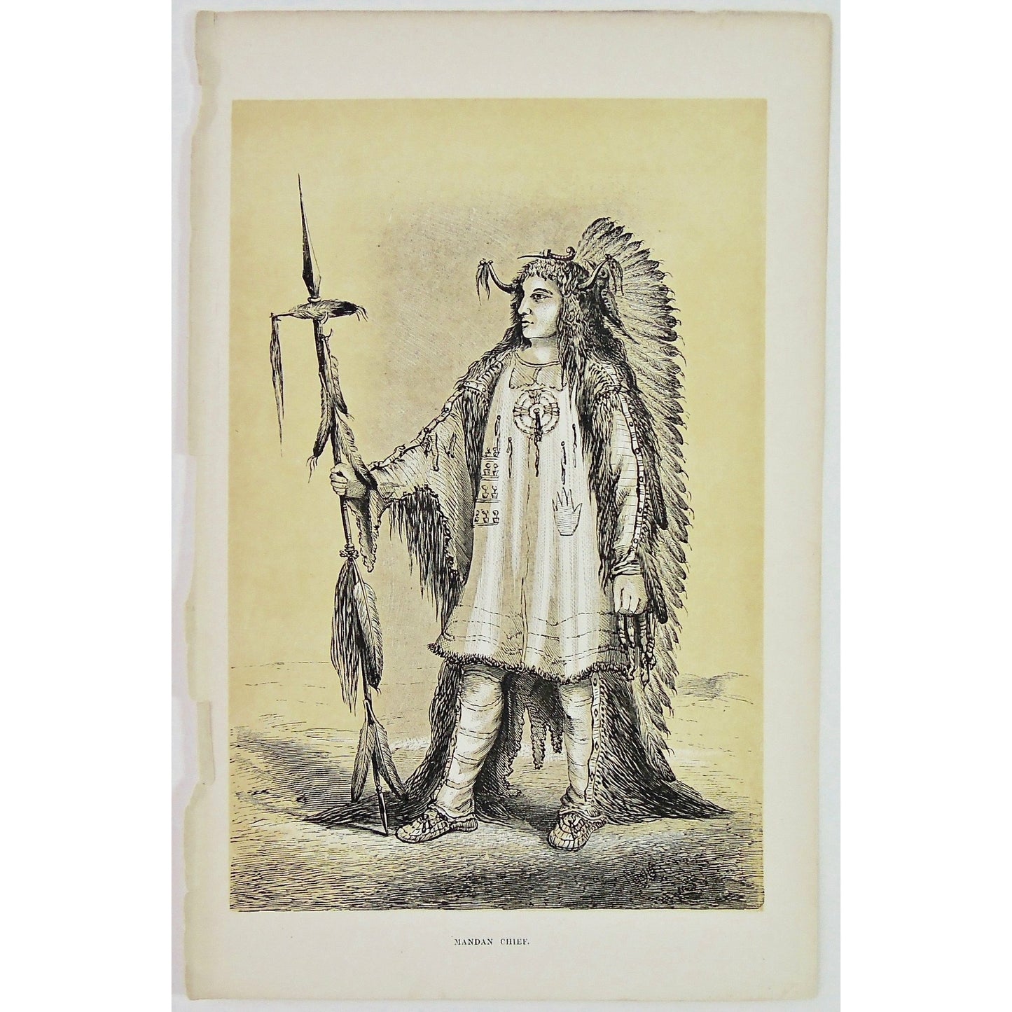 Mandan Chief.  (B4-113)