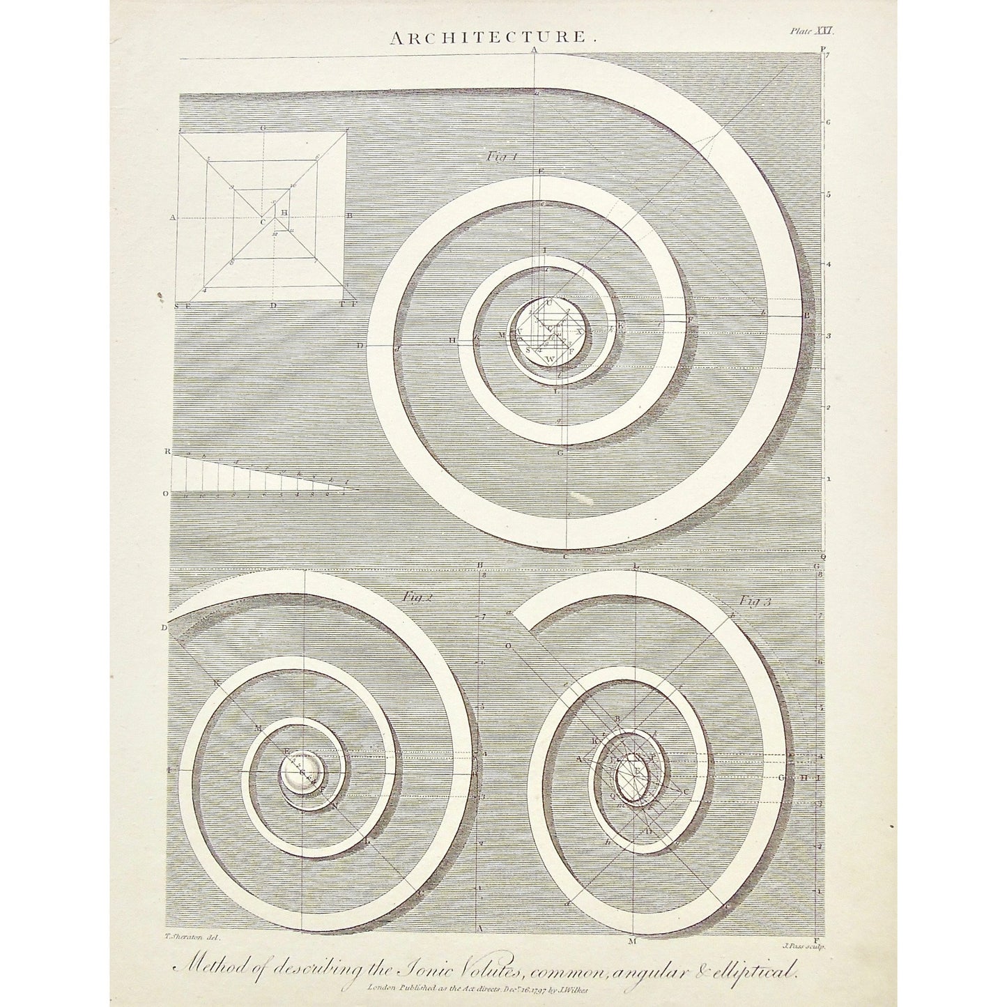 Architecture, Architect, Method, Building, buildings, describing, Ionic Volutes, Ionic, Volutes, Common, Angular, Elliptical, Column, columns, Structure, diagram, Antique Print, Antique, Prints, Vintage, Art, Wall art, decor, Original, Encyclopedia, Encyclopaedia Londinensis, London, 1797, Adlard, Pass, Wilkes, Sheraton, Universal Dictionary of Arts, Dictionary,