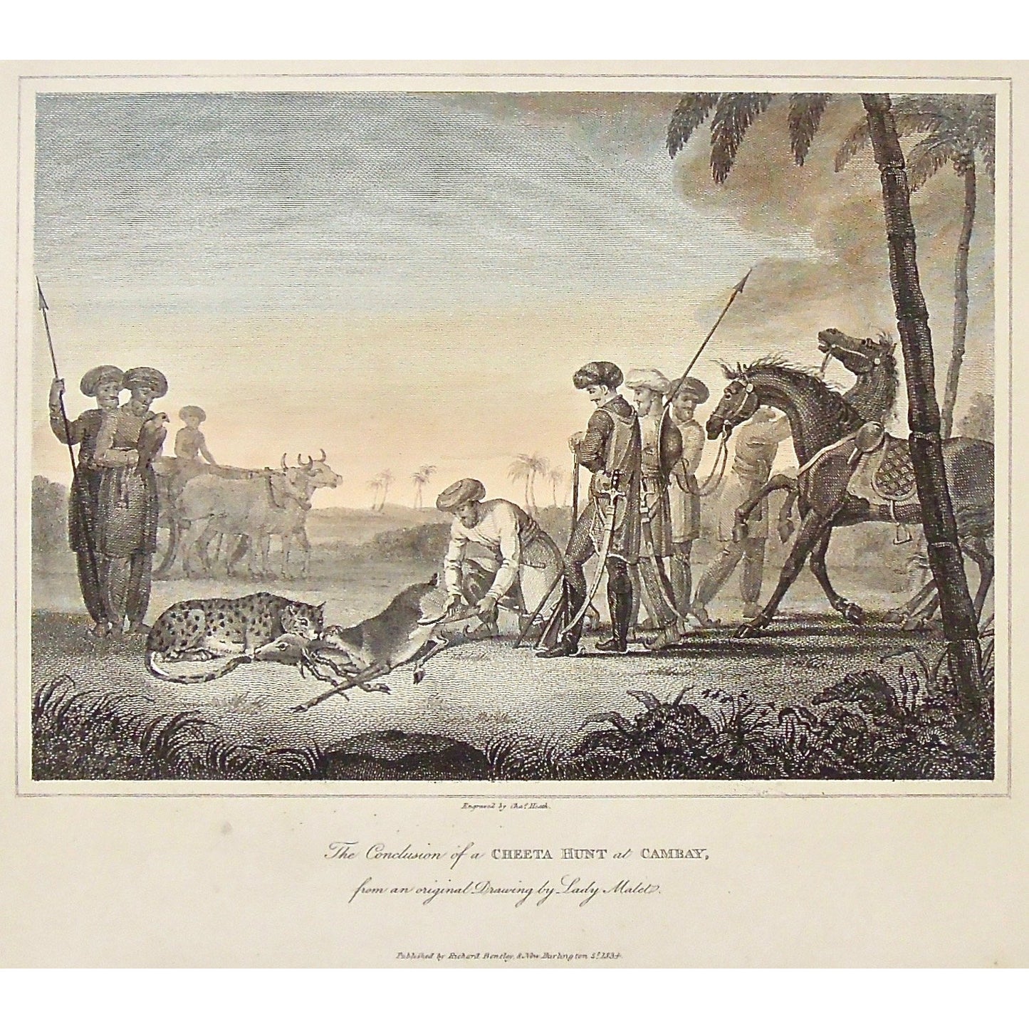 Conclusion of a Cheeta Hunt, Cheeta Hunt, Hunting, Cheeta, Cheetas, Cambay, Hunters, Indian, India, Spears, Spearing, Dear, Ox, Bulls, Horse, Swords, Headgear, Head dress, Falcon, Lady Malet, James Forbes, Forbes, Eliza Rosée, Countess De Montalembert, Oriental Memoirs, Narrative of Seventeen Years Residence in India, Bentley, 8 New Burlington Street, London, Heath, Nichols & Son, 25 Parliament Street, 1834, Steel engraving, Antique Print, Antique, Prints, Vintage Prints, Vintage, Collector, Collectable, 