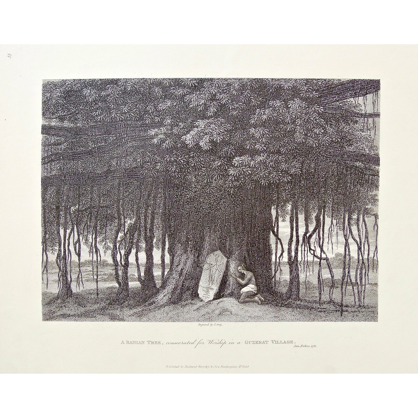 Banian, Banian Tree, Banyan Tree, Trees, Consecrated, Worship, Worshiping, Guzerat, Gujarat, under a tree, sculpture, worshipper, India, Indian, Man, James Forbes, Forbes, Eliza Rosée, Countess De Montalembert, Oriental Memoirs, Narrative of Seventeen Years Residence in India, Bentley, 8 New Burlington Street, London, Greig, Nichols & Son, 25 Parliament Street, 1781, 1834, Steel engraving, Antique Print, Antique, Prints, Vintage Prints, Vintage, Collector, Collectable, Original, Unique, Rare Map, Rare, Rar