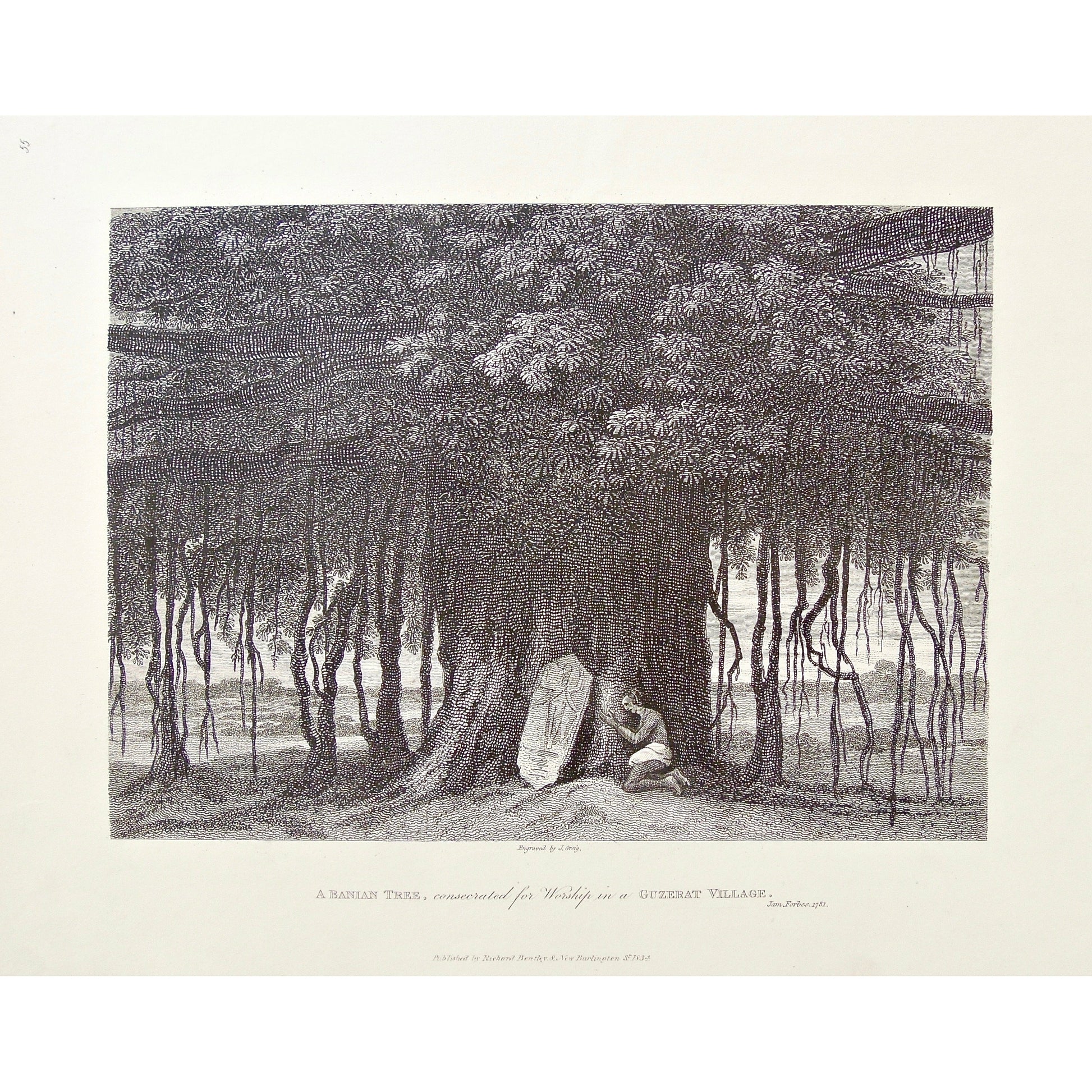 Banian, Banian Tree, Banyan Tree, Trees, Consecrated, Worship, Worshiping, Guzerat, Gujarat, under a tree, sculpture, worshipper, India, Indian, Man, James Forbes, Forbes, Eliza Rosée, Countess De Montalembert, Oriental Memoirs, Narrative of Seventeen Years Residence in India, Bentley, 8 New Burlington Street, London, Greig, Nichols & Son, 25 Parliament Street, 1781, 1834, Steel engraving, Antique Print, Antique, Prints, Vintage Prints, Vintage, Collector, Collectable, Original, Unique, Rare Map, Rare, Rar