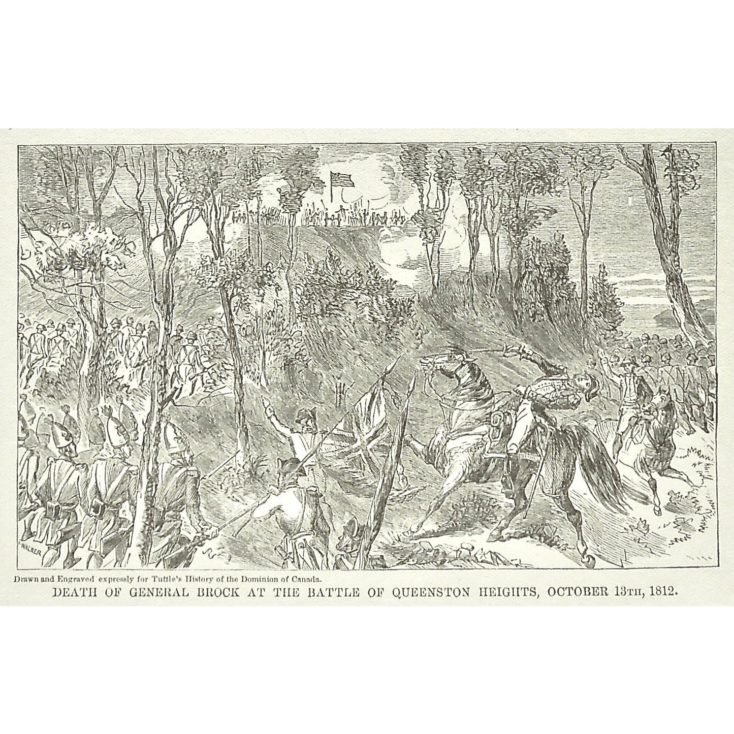 Attack, Death of General Brock at the Battle of Queenstown Heights, October 13th, 1812, Death, General Brock, Gen. Brock, Isaac Brock, Battle of Queenstown Heights, Queenstown Heights, Oct. 13, War, Army, Soldiers, Troops, Battle, Battles, Weapons, Guns, Swords, Flag, British Troops, British Flag, Union Jack, English Flag, English Troops, Tuttle, Charles Tuttle, History of the Dominion, Popular History of the Dominion, Downie, Bigney, History, Dominion, Canada, Canadian History, Antique, Antique Print, arts