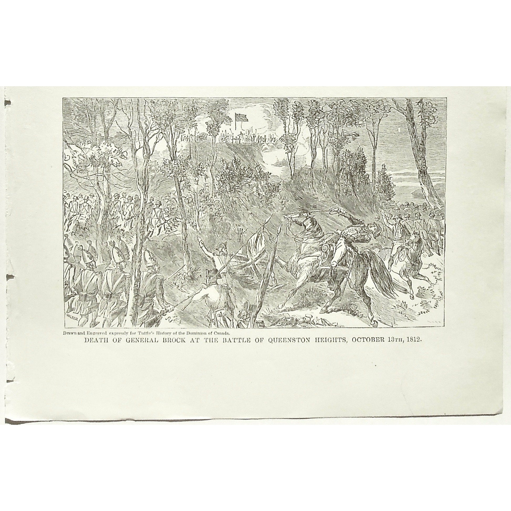 Attack, Death of General Brock at the Battle of Queenstown Heights, October 13th, 1812, Death, General Brock, Gen. Brock, Isaac Brock, Battle of Queenstown Heights, Queenstown Heights, Oct. 13, War, Army, Soldiers, Troops, Battle, Battles, Weapons, Guns, Swords, Flag, British Troops, British Flag, Union Jack, English Flag, English Troops, Tuttle, Charles Tuttle, History of the Dominion, Popular History of the Dominion, Downie, Bigney, History, Dominion, Canada, Canadian History, Antique, Antique Print, art