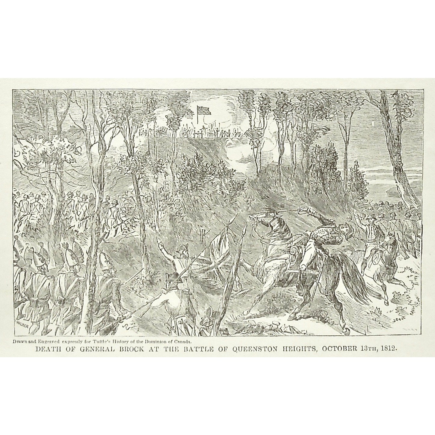 Attack, Death of General Brock at the Battle of Queenstown Heights, October 13th, 1812, Death, General Brock, Gen. Brock, Isaac Brock, Battle of Queenstown Heights, Queenstown Heights, Oct. 13, War, Army, Soldiers, Troops, Battle, Battles, Weapons, Guns, Swords, Flag, British Troops, British Flag, Union Jack, English Flag, English Troops, Tuttle, Charles Tuttle, History of the Dominion, Popular History of the Dominion, Downie, Bigney, History, Dominion, Canada, Canadian History, Antique, Antique Print, art