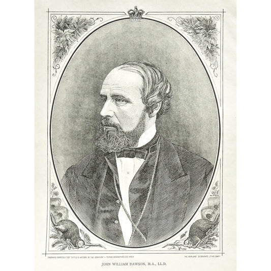 John William Dawson, M.A., L.L.D., Dawson, J. W. Dawson, Portrait, Portraits, Portraiture, Tuttle, Charles Tuttle, History of the Dominion, Popular History of the Dominion, Downie, Bigney, History, Dominion, Canada, Canadian History, Antique, Antique Print, Steel Engraving, Engraving, Prints, Printmaking, Original, Rare prints, rare books, Wall decor, Home decor, office art, Unique, 1877, Historical Figures, Black and White, Art History, Interior Decor, office Art, Home decor, Design, Costume, Dress, Arts, 