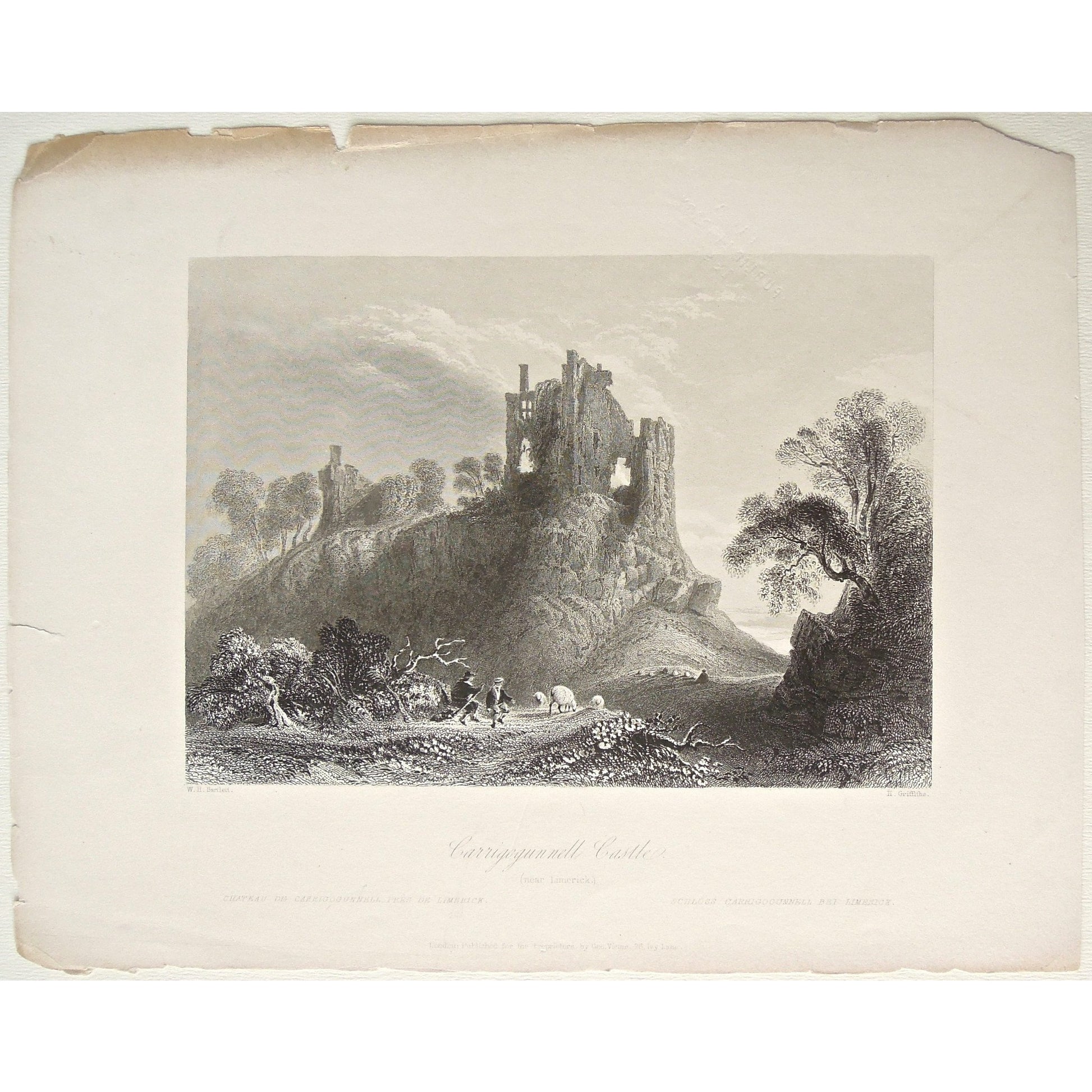 Carrigogunnell, Castle, Ireland, Irish, Ruins, Sheep, view, scenery, Limerick, Chateau, Schloss, Victoria Cooper Antique Prints, home design, interior decorating, wall art, artwork, for sale, art, Irish scene, Irish art, engraving, olden days, historical, original