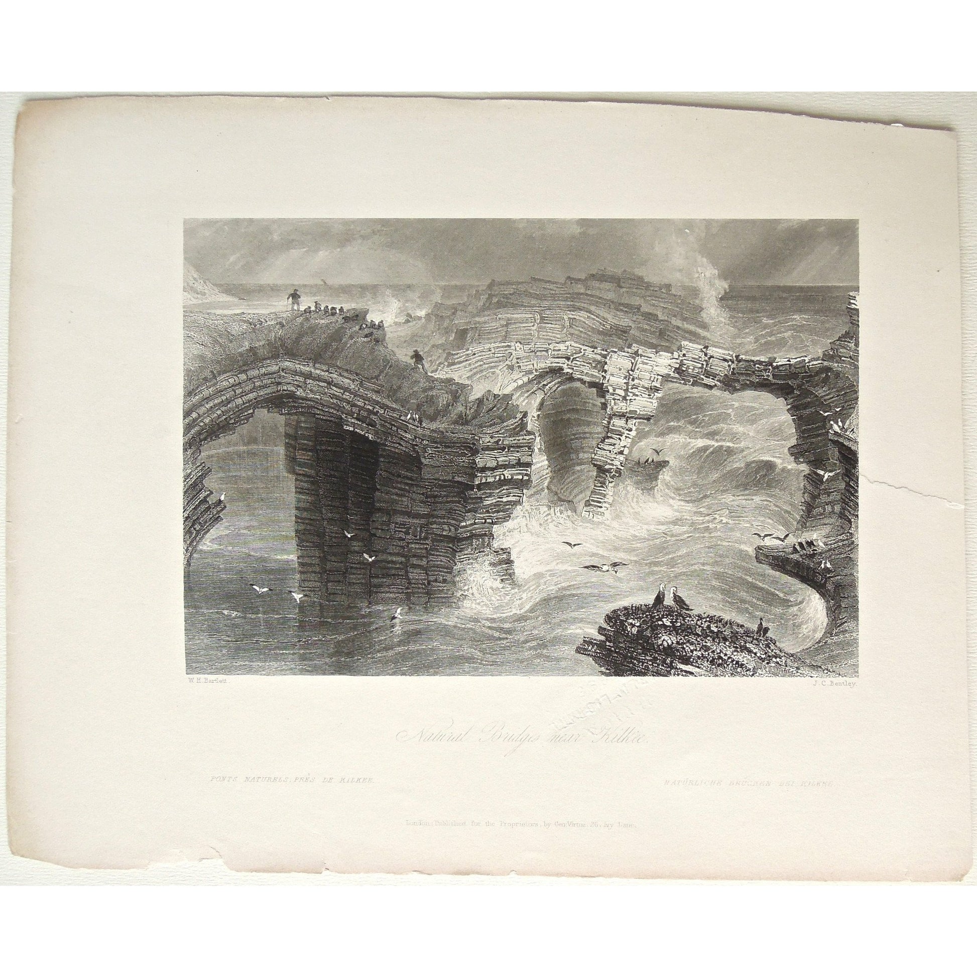 Glengariff, Ireland, Irish, Town, Scenery, Cliffs, rough seas, tunnel in the rocks, rock formations, interior decor, natural rock tunnels, nautral, Victoria Cooper Antique Prints, interior decorating, design ideas, inspiration, old prints, old Ireland, Irish landscape