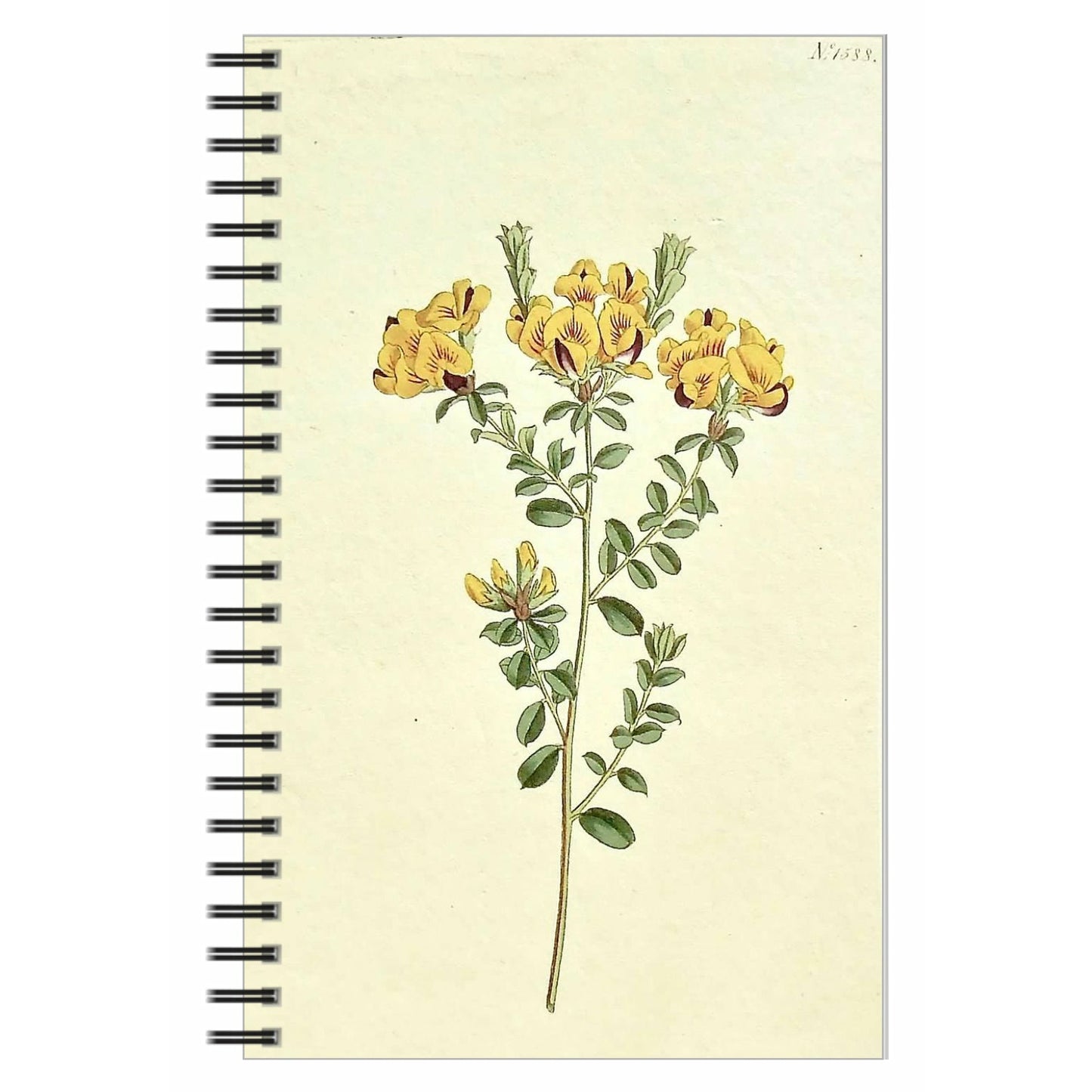 Little Yellow Flowers Notebook