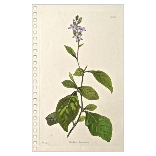 Little Purple Flowers Notebook