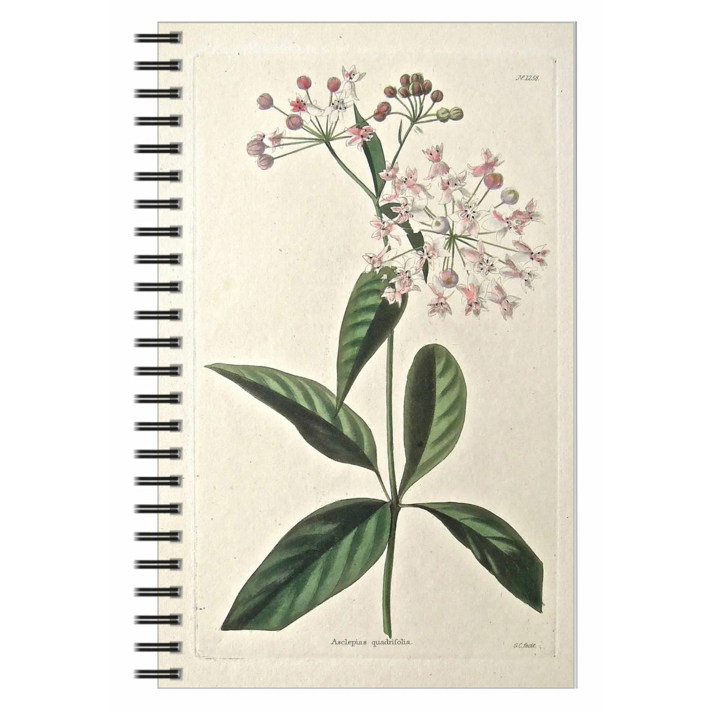 Little Pink Flowers Notebook