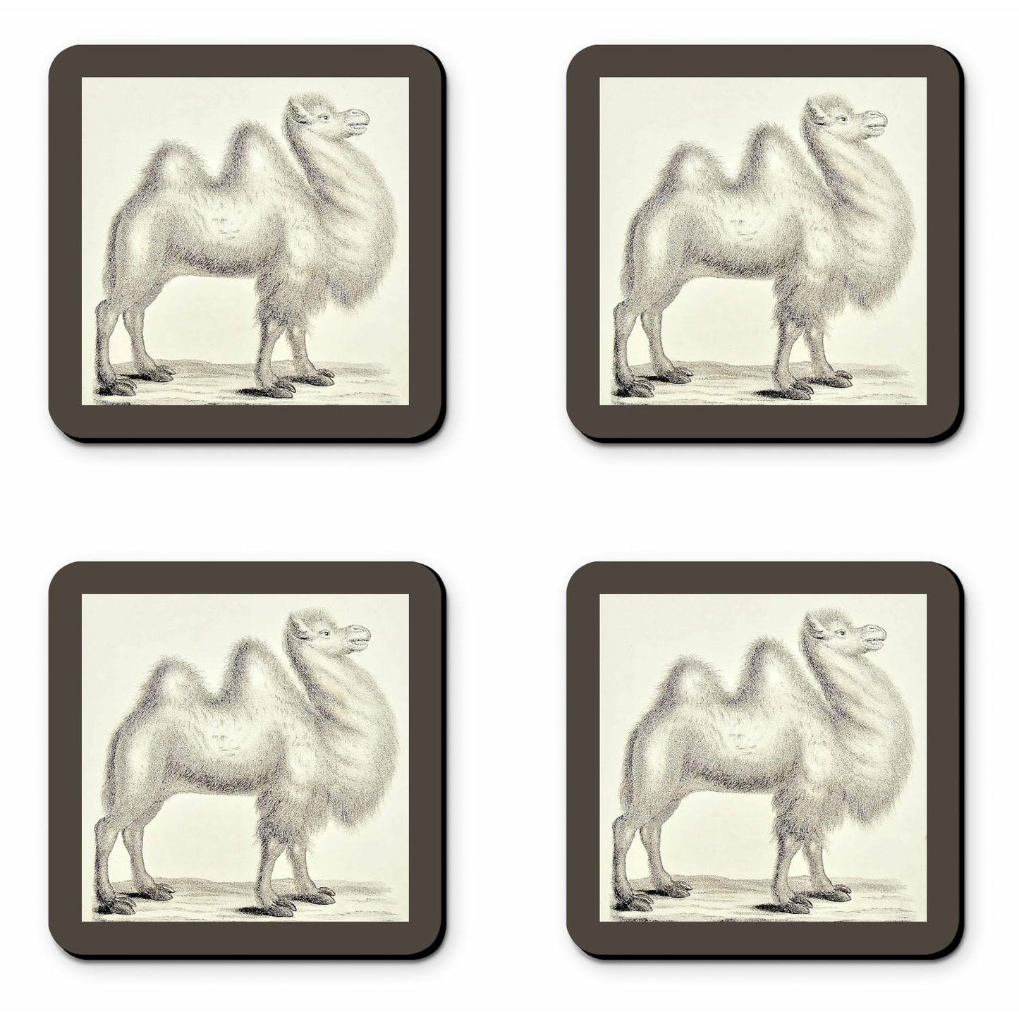 Camel Coasters (set of 4)